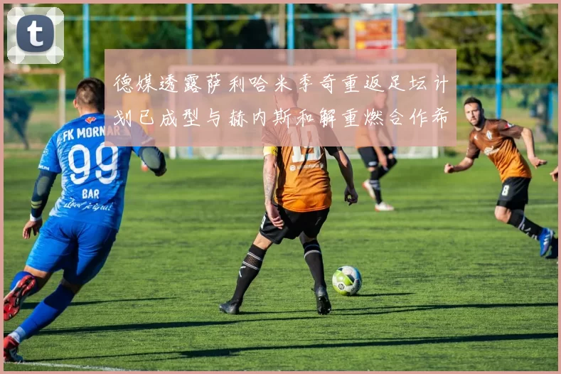 德媒透露萨利哈米季奇重返足坛计划已成型与赫内斯和解重燃合作希望