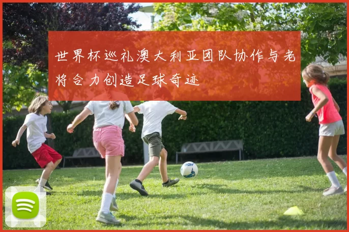 世界杯巡礼澳大利亚团队协作与老将合力创造足球奇迹